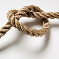 Knot represents a connected couple.
